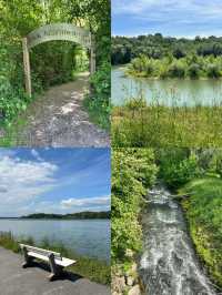 🌿 Altarmweg Wallsee: オーストリアの風光明媚なリバーサイドハイキング