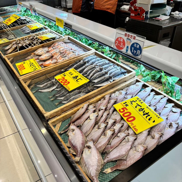 🇯🇵【鳥取県】大漁市場なかうら！新鮮な海鮮をGET!^ ^
