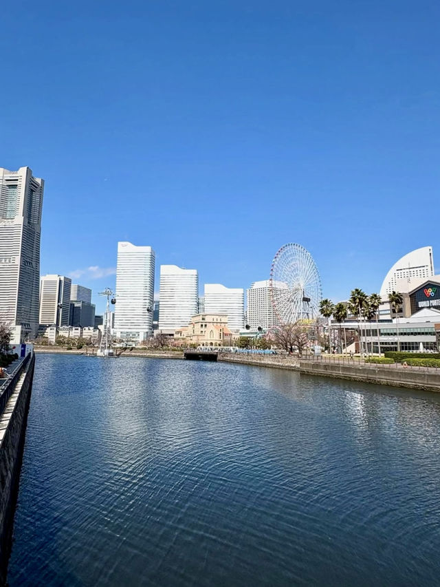 A Day of Art & City Strolls in Yokohama 🎨✨