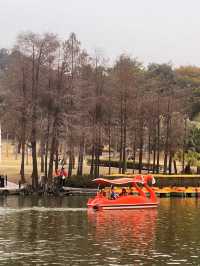 周末親子遊樂好去處——珠海海濱公園