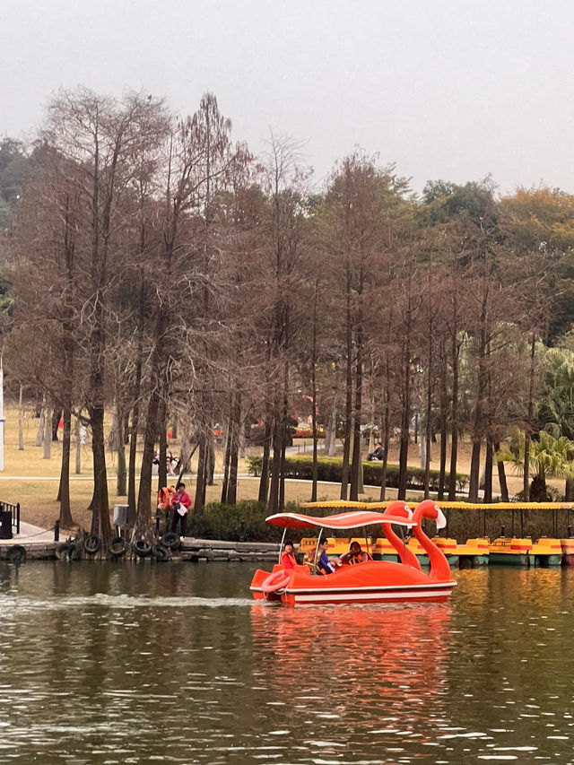 周末親子遊樂好去處——珠海海濱公園