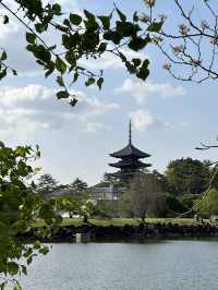 Day trip from Osaka to Nara