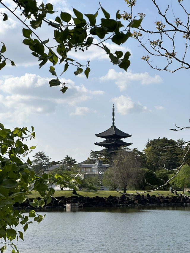 Day trip from Osaka to Nara