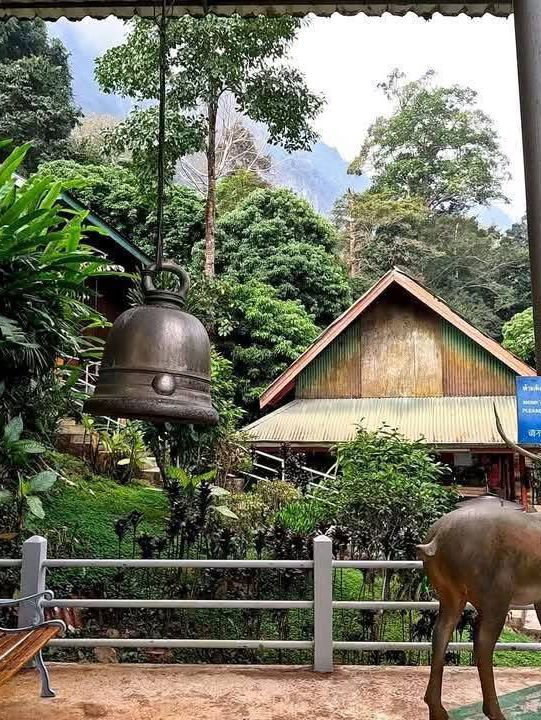 心も体も癒される、チェンマイの旅🌿🐘✨