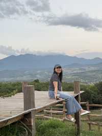 ไร่ปางวัว จ.น่าน