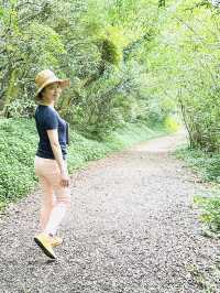 來場北投到陽明山的健走小旅行