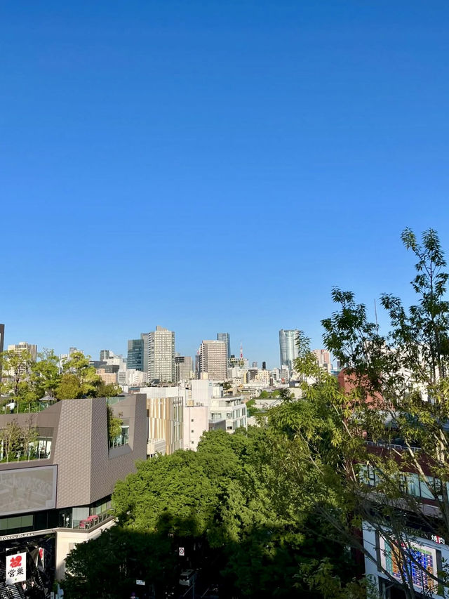 A Full Day of Fun in Harajuku & Omotesando 🎨🛍️☕