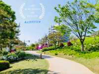 Heunginjimun Park: by the City Wall
