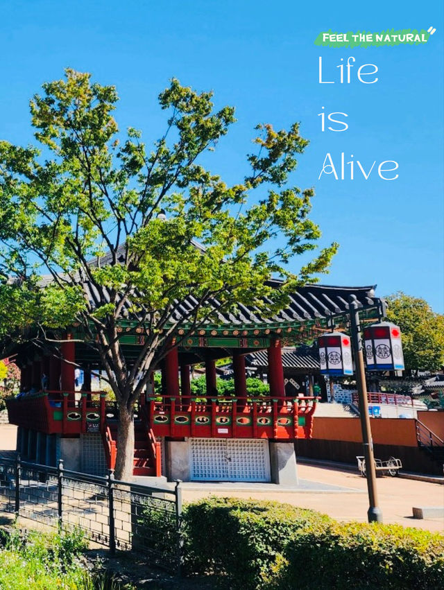 A Journey Back in Time at Namsangol Hanok Village