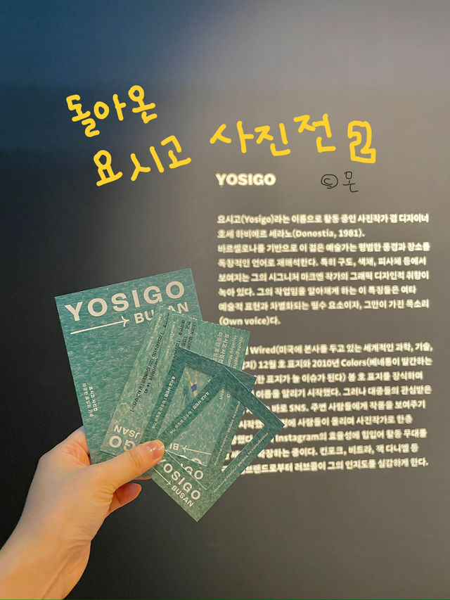 벌써 기대되는 요시고사진전 2 📷📸