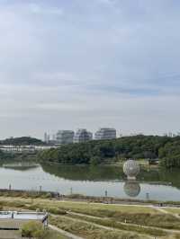 🌳 물빛과 바람이 머무는 곳, 동탄 호수공원 🌊🌿