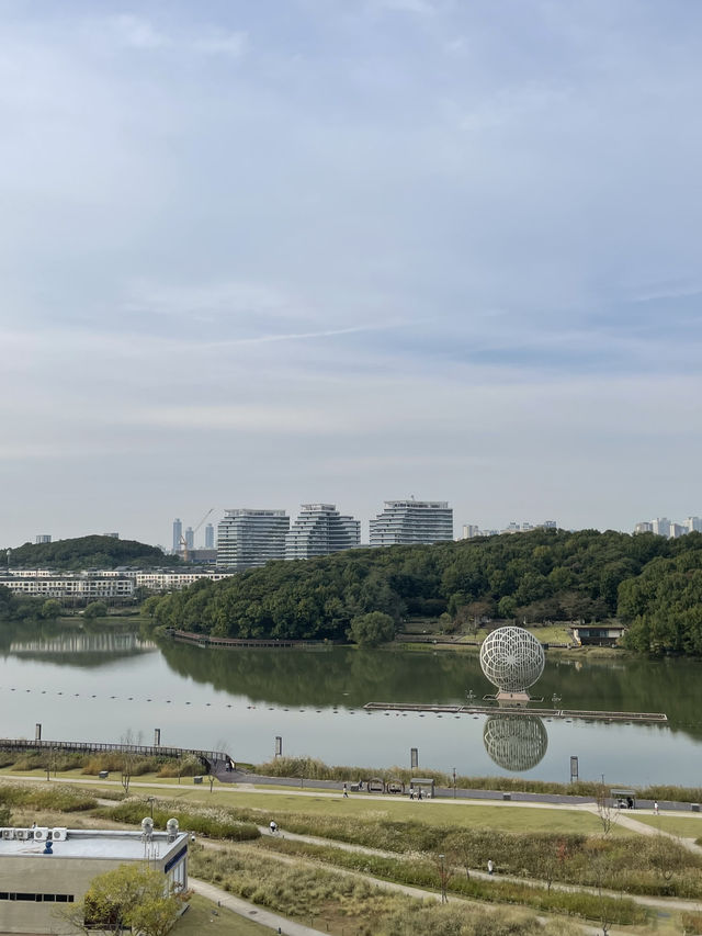 🌳 물빛과 바람이 머무는 곳, 동탄 호수공원 🌊🌿