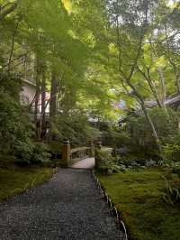 🍃🪞**【瑠璃光院（るりこういん）】 一枚の写真に、永遠の美しさを。