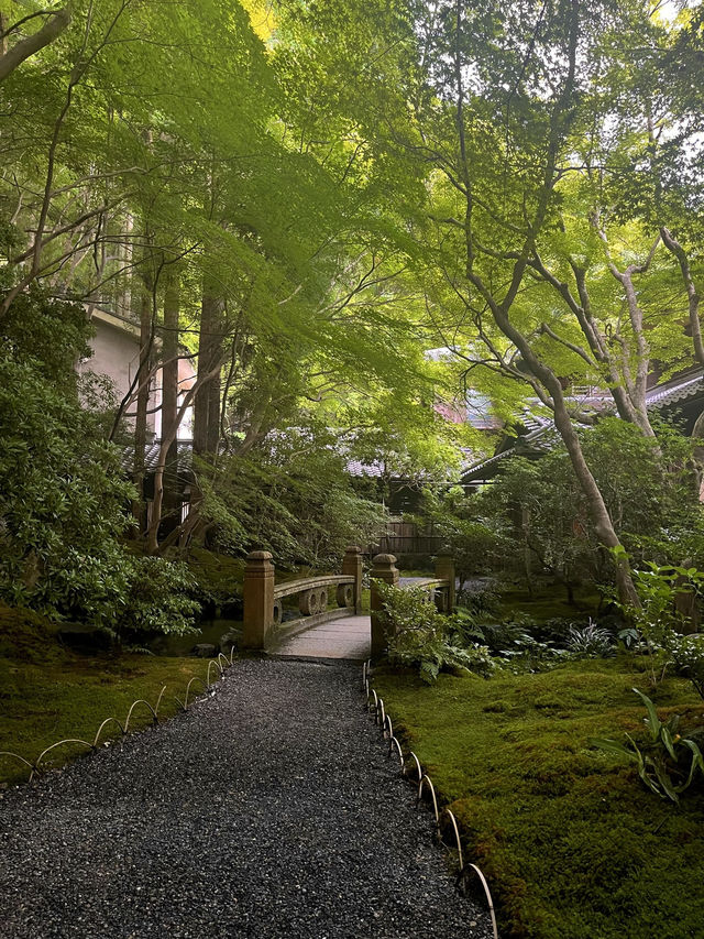 🍃🪞**【瑠璃光院（るりこういん）】 一枚の写真に、永遠の美しさを。