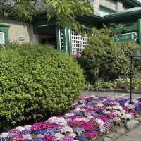 夏天必去的Butchart Garden