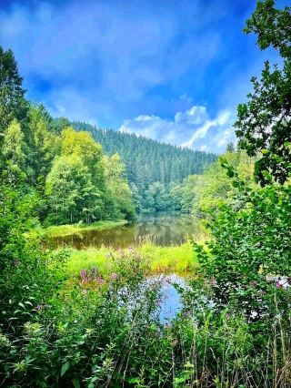 Eifel National Park – Germany’s Living Wilderness