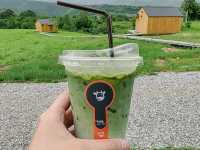 Hillbilly farm น้ำหนาว 🍃🌲☘️☕️