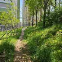 Climbing Wonjeoksan Peak