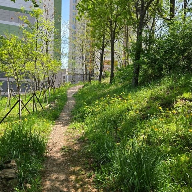 Climbing Wonjeoksan Peak