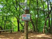 Short Climb, Peaceful Vibes, Hidden Gem Energy