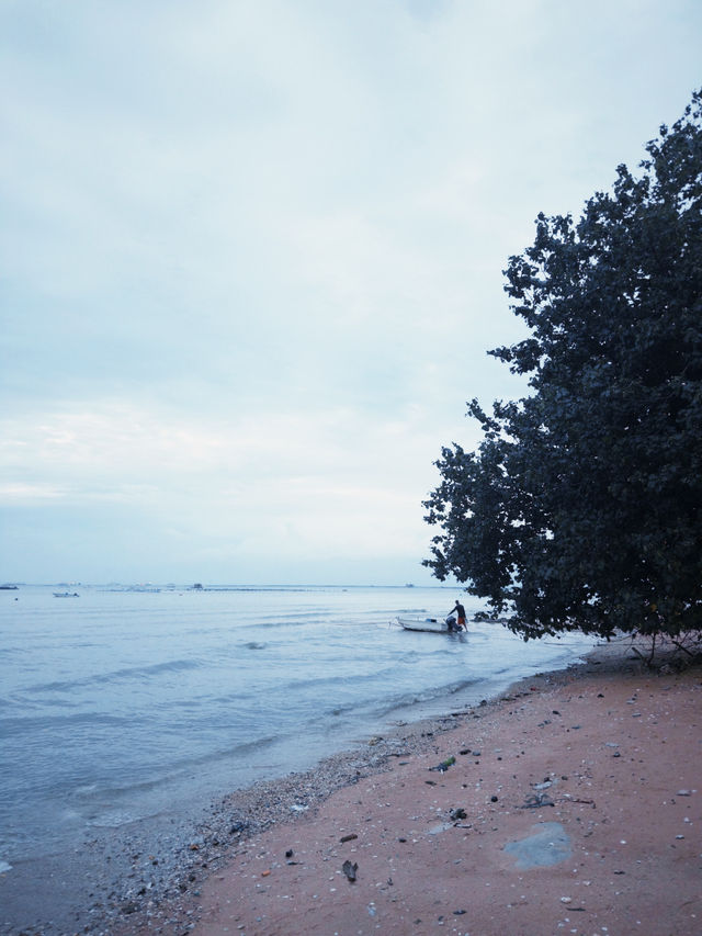 Good Vibes ✨ Good Location 🏝️