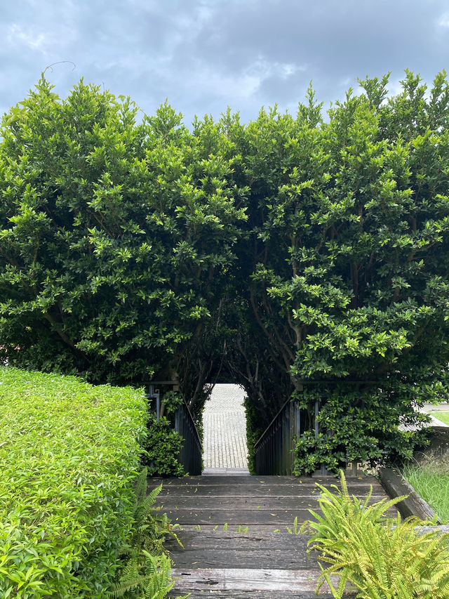 🌿 Chivitr Wellness Retreat 