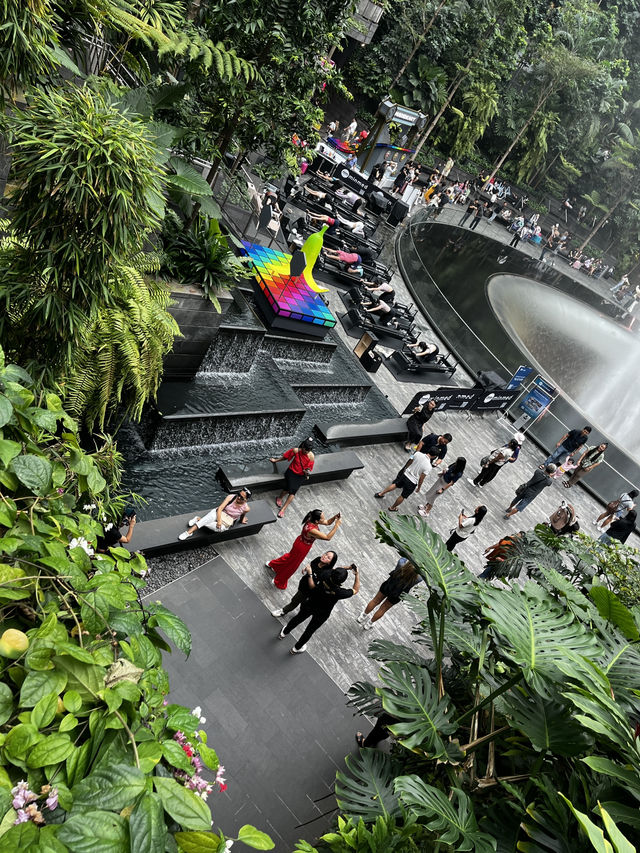 A Mesmerizing Oasis – Jewel Changi’s Rain Vortex