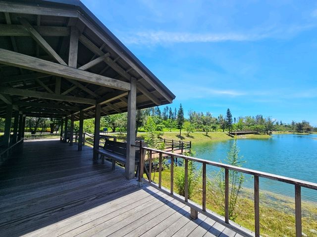 恍如仙境的台東森林公園琵琶湖