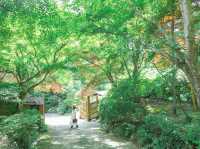 【佐賀】京都じゃないんです！緑のリフレクション🌳