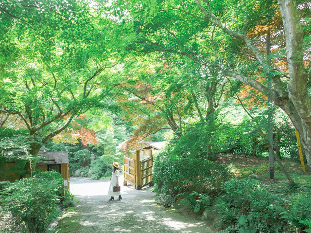 【佐賀】京都じゃないんです！緑のリフレクション🌳