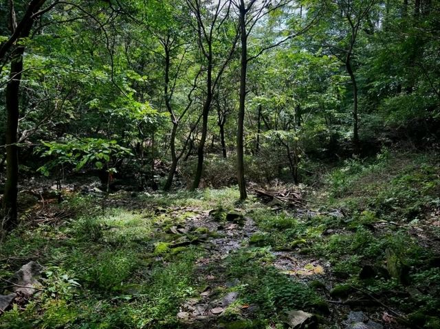 Into the Wild, Yongchu Valley