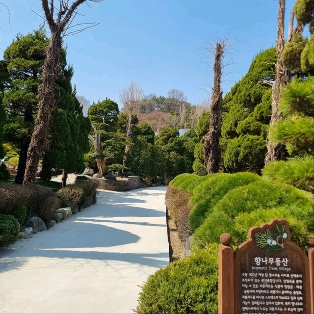 Bear Tree Park is a Whole Mood