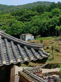 연화산 자락의 사찰 데이트