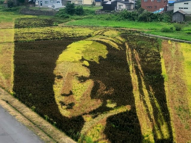 Inakadate Village Observation Deak(논아트, 단보아트, 아오모리현)