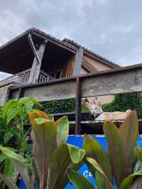 เที่ยวภูผาม่าน-เชียงคาน ด้วยตัวเอง