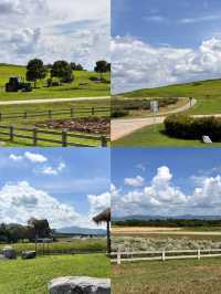 Singha Park, Chiangrai