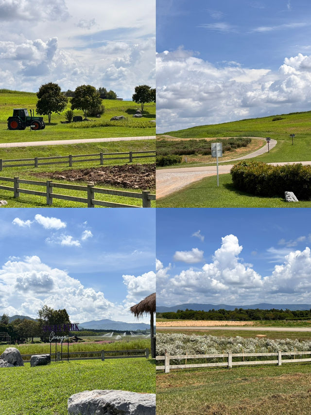 Singha Park, Chiangrai