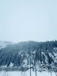 Frozen Dreams: A Winter Escape to Lake Kaindy
