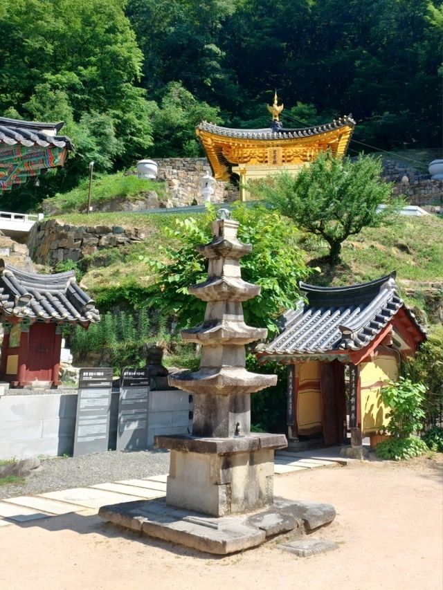 초록숲 속 힐링 산책, 장춘사로 떠나요🌿