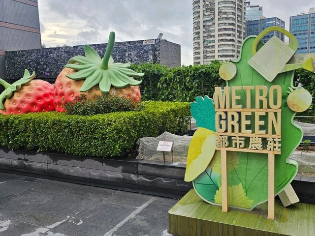 新都會廣場Metro Green必玩：有機蔬菜收割團