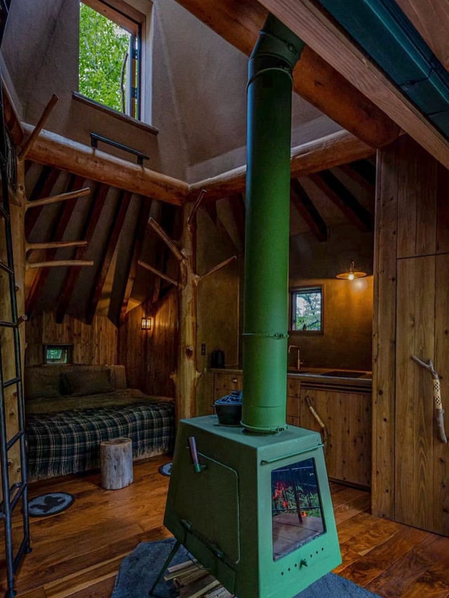 Hakone tree house