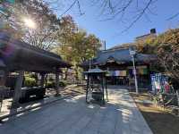 Healing Stones & Flea Market Vibes: Discover Kawagoe’s Renkeiji Temple