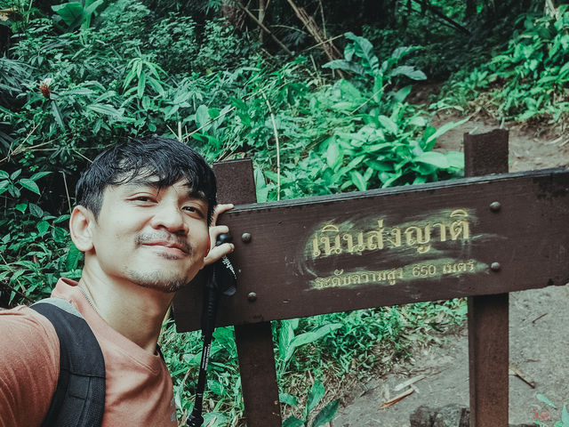 ภูสอยดาว ในวันที่... ความทรงจำที่ไม่มีวันลืมเลือน