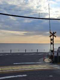 ✨Sweet Escape from Tokyo City Lights — Kamakura Day Out