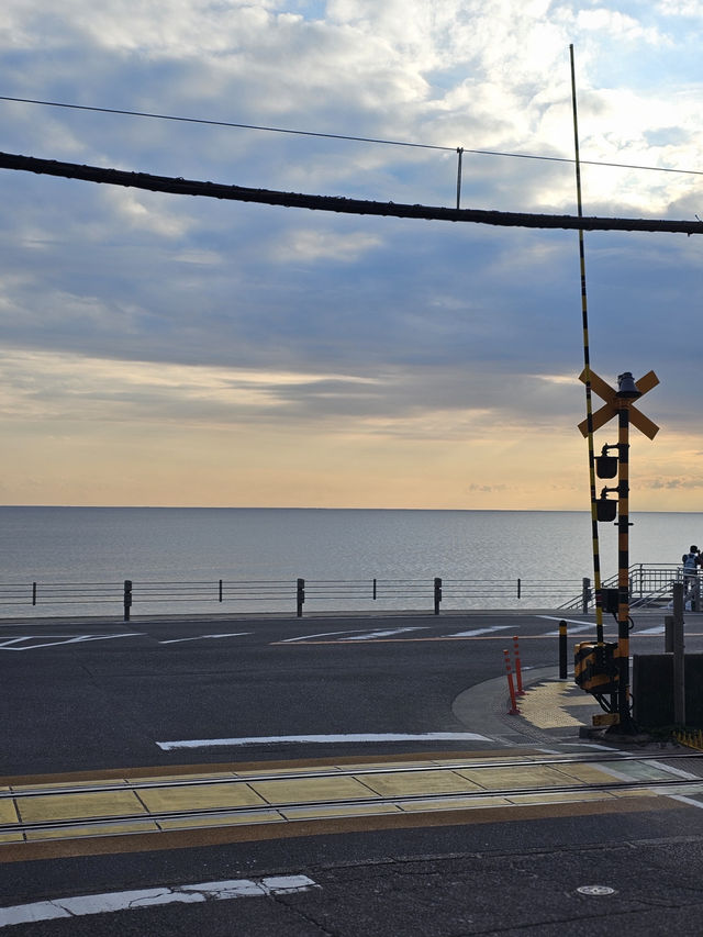✨Sweet Escape from Tokyo City Lights — Kamakura Day Out