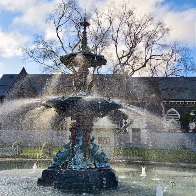 Christchurch Botanic Gardens: Where Flowers Bloom & Ducks Line Up Like It’s Black Friday!