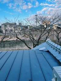 일본 전통 가옥을 느끼고 싶다면🏡
