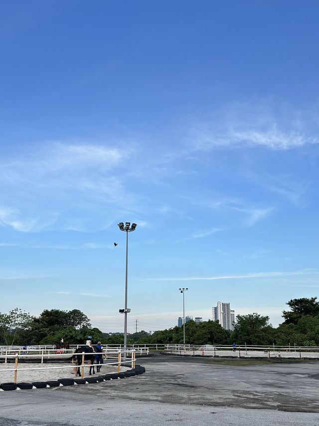 Giddy Up, Cyberjaya! Exploring 3S Equestrian for a Weekend Reset