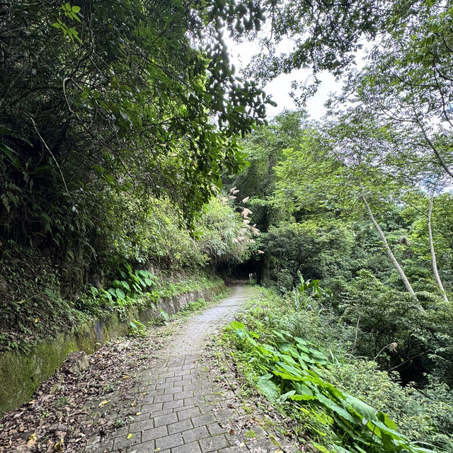 清泉步道休閒走