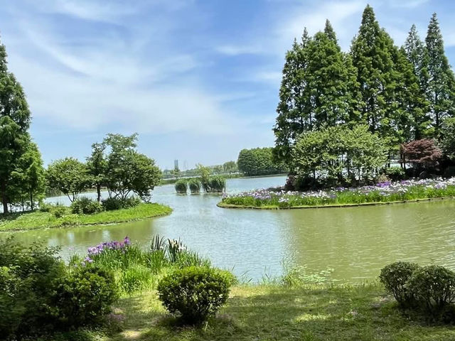 🌿 Yuantouzhu 鼋头渚 — A Peaceful Summer Escape by Taihu Lake